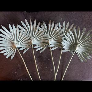 ⭐️ 5 for $15 ⭐️ Palm Leaves